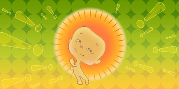 Еж на солнце