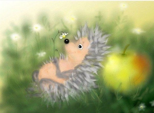 Солнечный Ежик