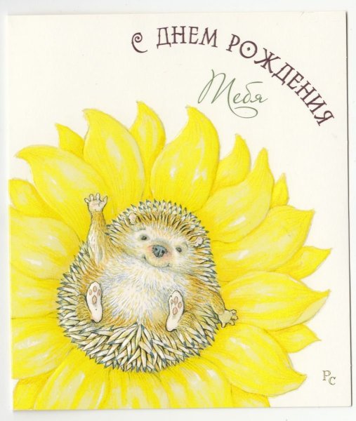 Милые иллюстрации осень