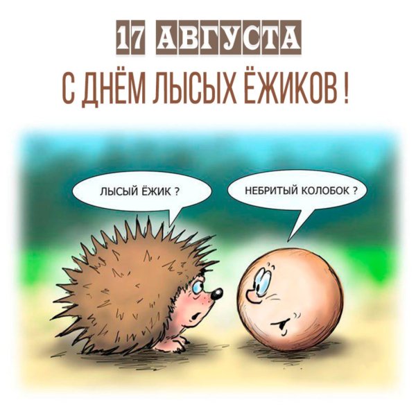 Еж в ромашках