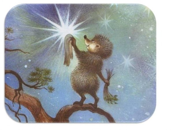 Ёжик в ромашках