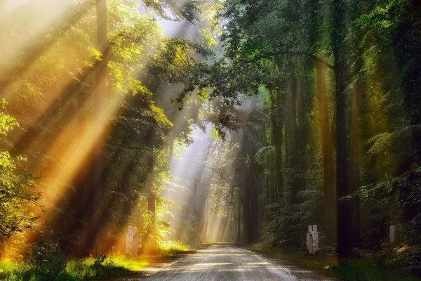 Солнечные лучи