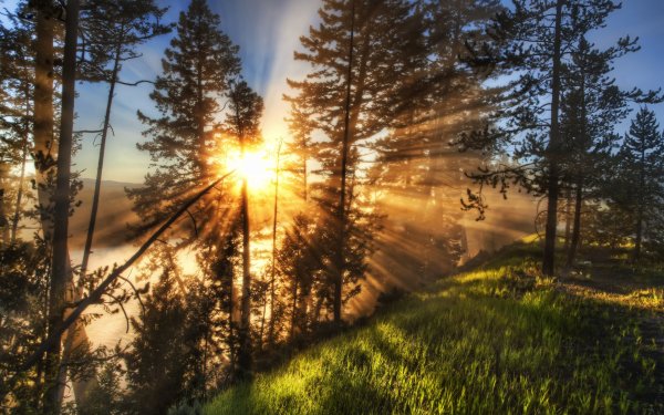 Природа солнце