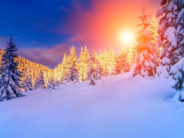 Деревня зима Виладж