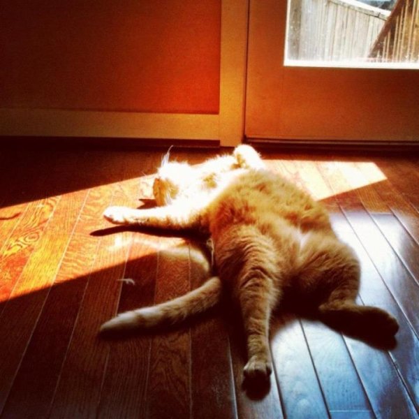 Доброе солнечное утро