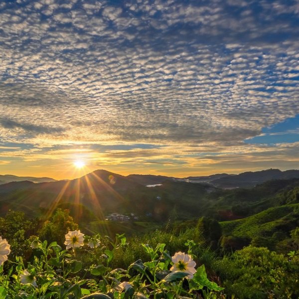 Рассвет летом