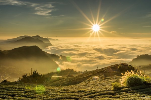 Бавария Германия природа Sunrise