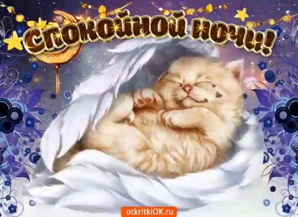 Спокойной ночи сладких снов