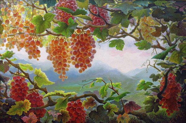 Виноград кишмиш белый