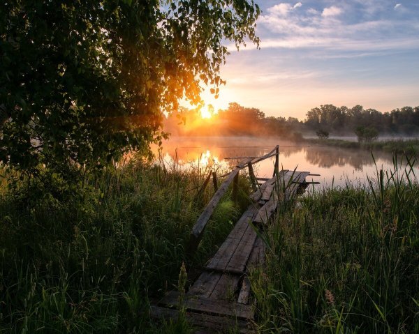 Петр Солнцеворот 25