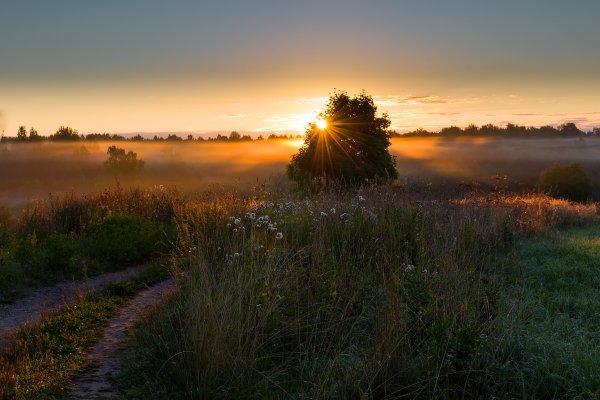 Летний закат в деревне