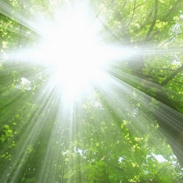 Солнышко с лучиками