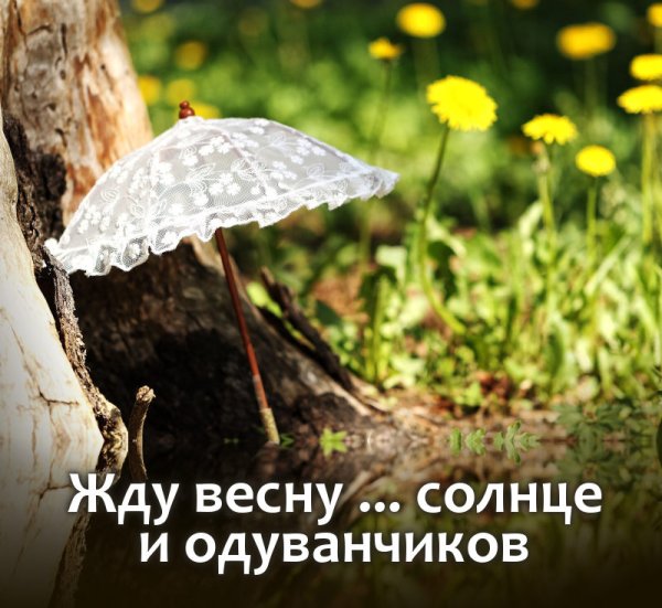 Виктория Кирдий солнце