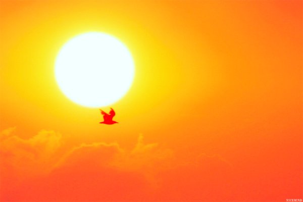 Солнце векторное изображение