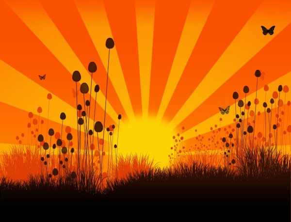 Страна золотого солнца