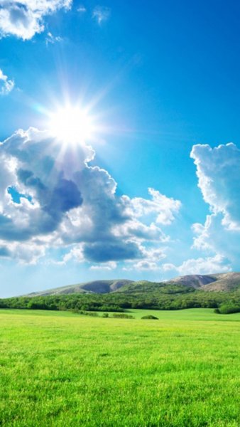 Солнечный день