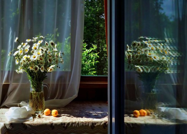 Летние цветы на подоконнике