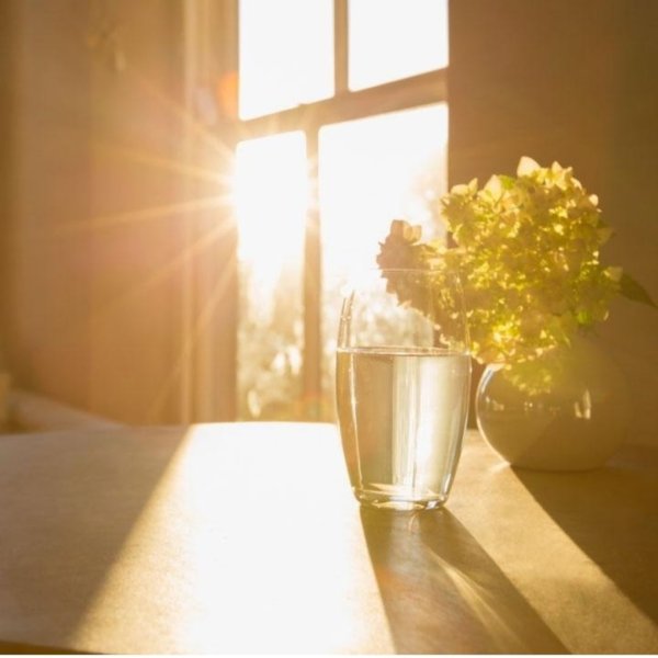 Цветы на окне