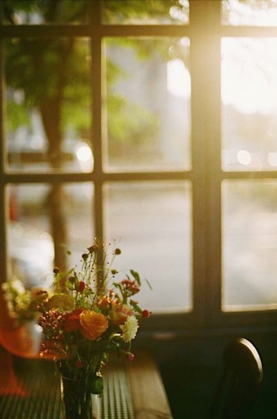 Раннее утро в окне