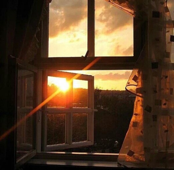 Раннее утро в окне