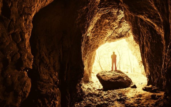 Свет из тьмы