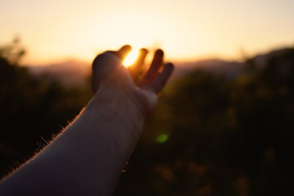 Рука тянется к свету