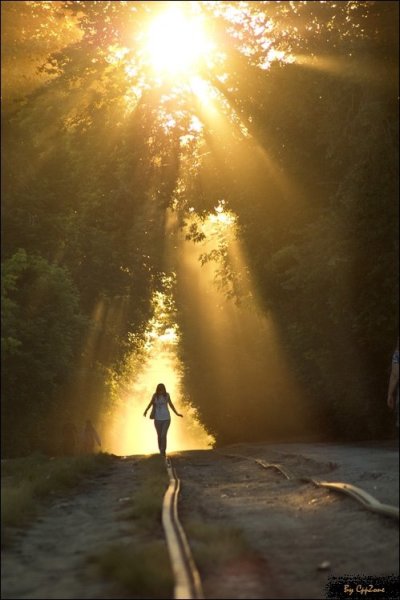 Человек на вершине