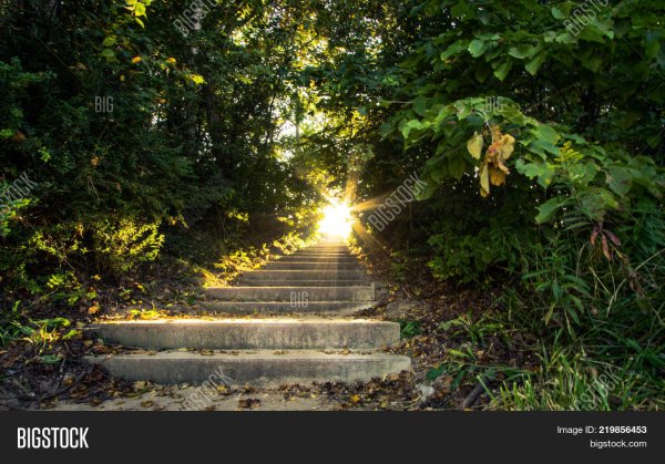 Рай Небесный