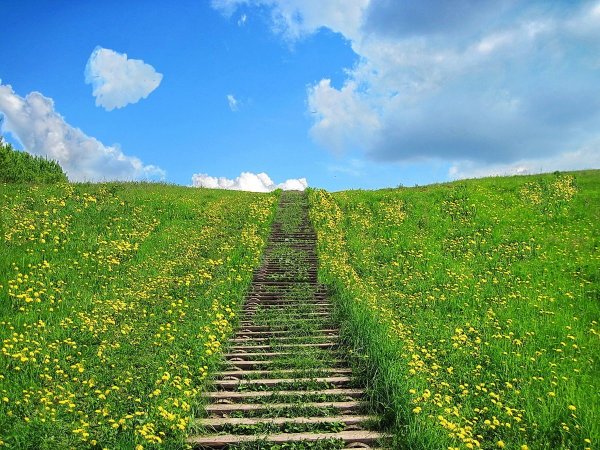 Лестница вверх