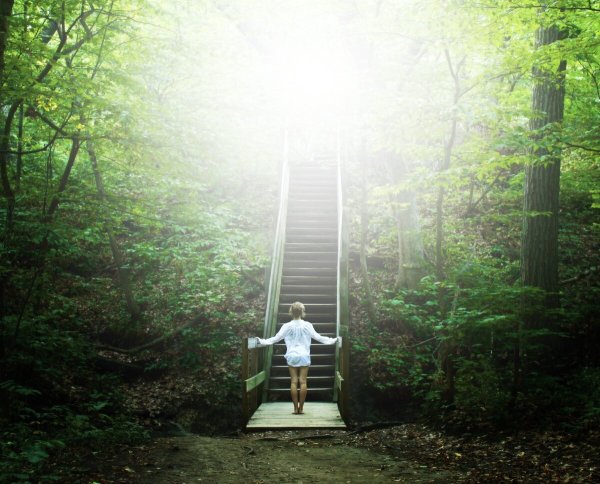 Лестница вверх природа