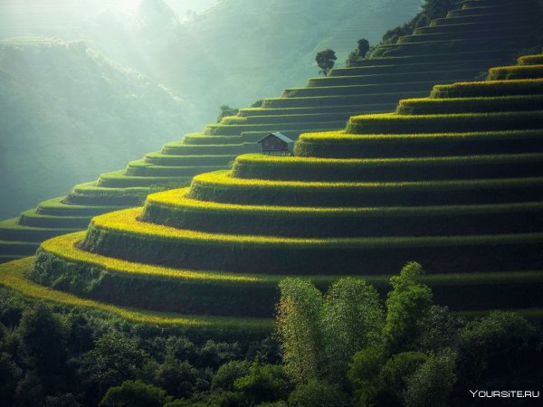 Стремление к совершенству