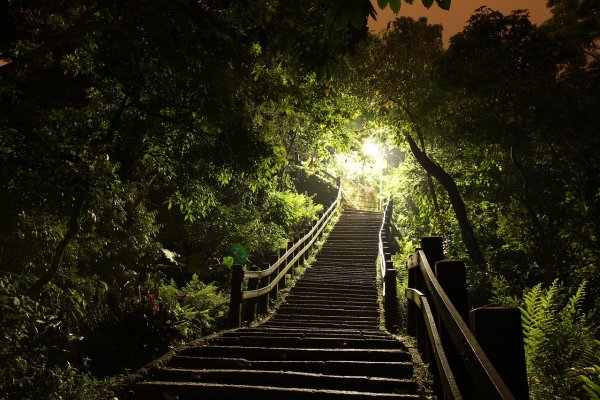 Светлая дорога