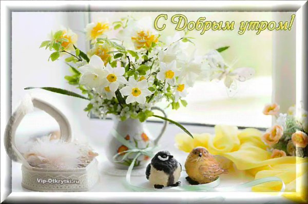 Солнечного дня и отличного настроения