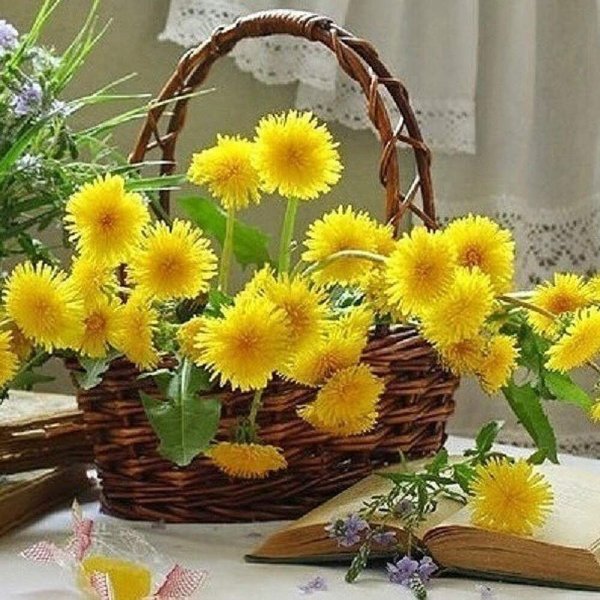 Прекрасного солнечного дня