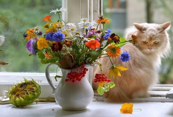 Пожелания с добрым летним утром