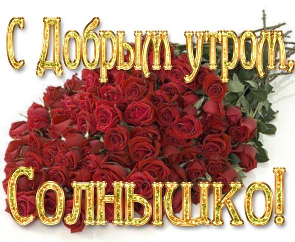 Доброе утро солнышко
