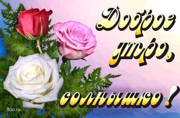 Доброе утро солнышко моё