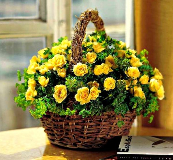 Хочется быстрее лето