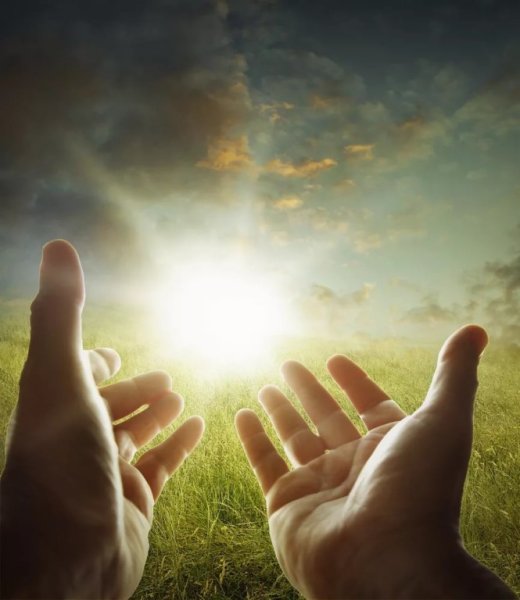 Рука тянется к свету