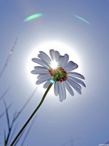 Топская Наталья