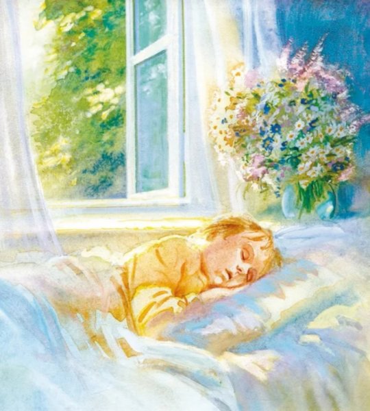 В утренних лучах