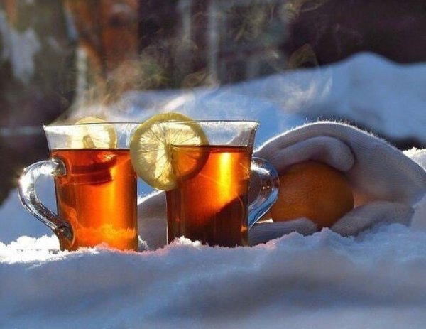 Солнце зимой