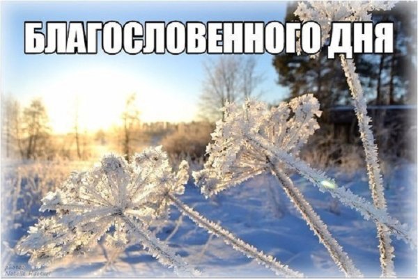 Зимняя природа