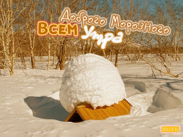 Открытки с добрым морозным утром