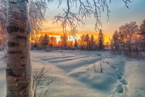 Яркого зимнего утра