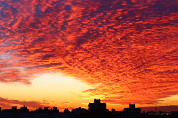 Оранжевый закат город