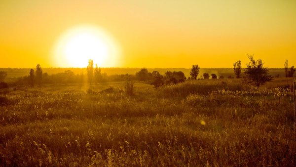 Восход в степи