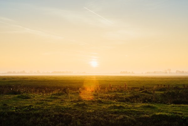 Рассвет в степи Саврасов
