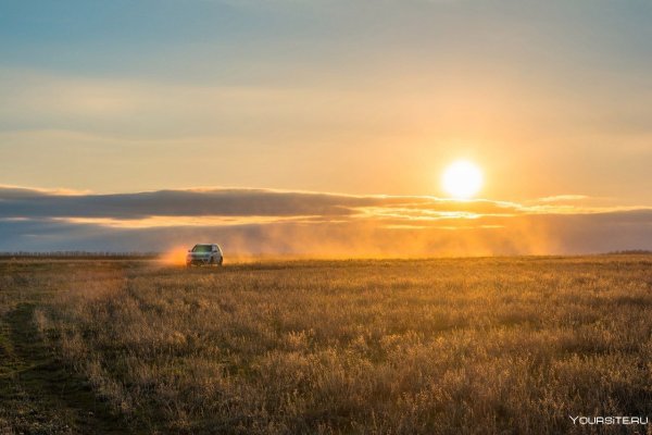 Жара в степи