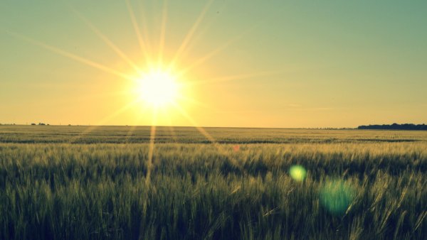 На Восходе солнца